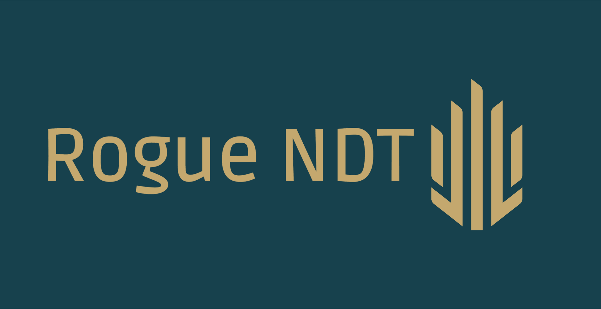 Rogue NDT